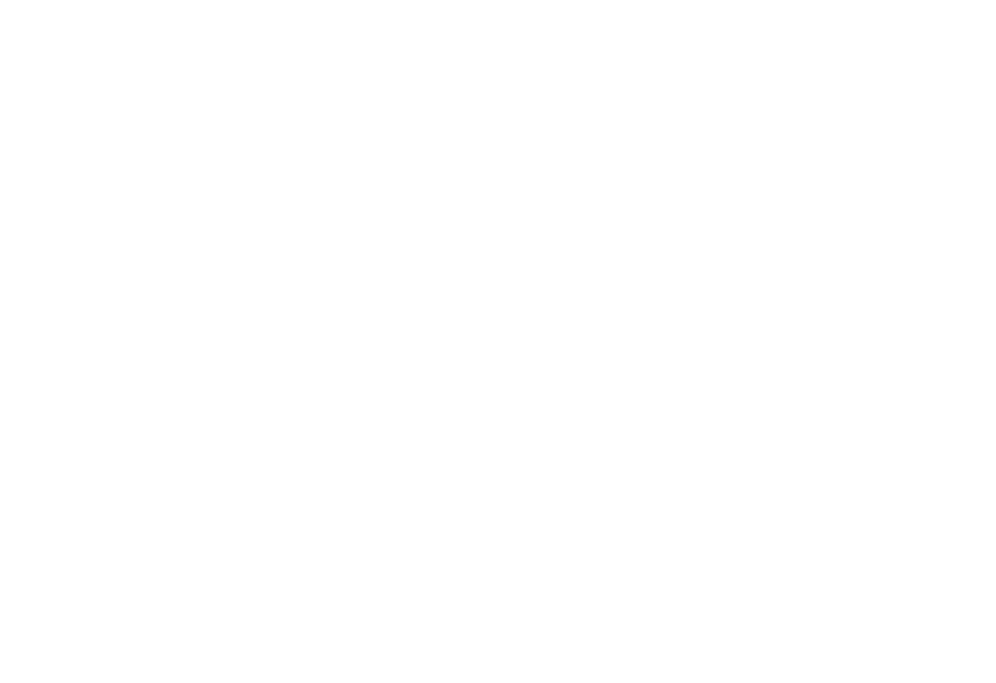 logo telnowedge blanc