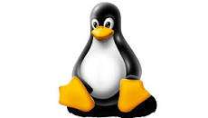 linux